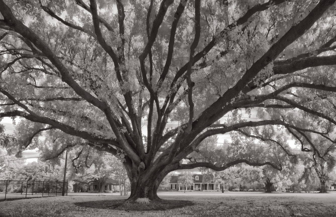 bayou-gem-pano-1