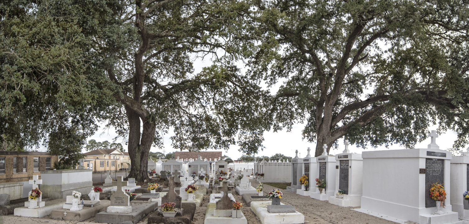 st-j_cemetery-oaks_1