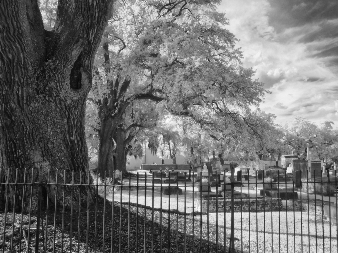 st-john-cemetery-northwest-side