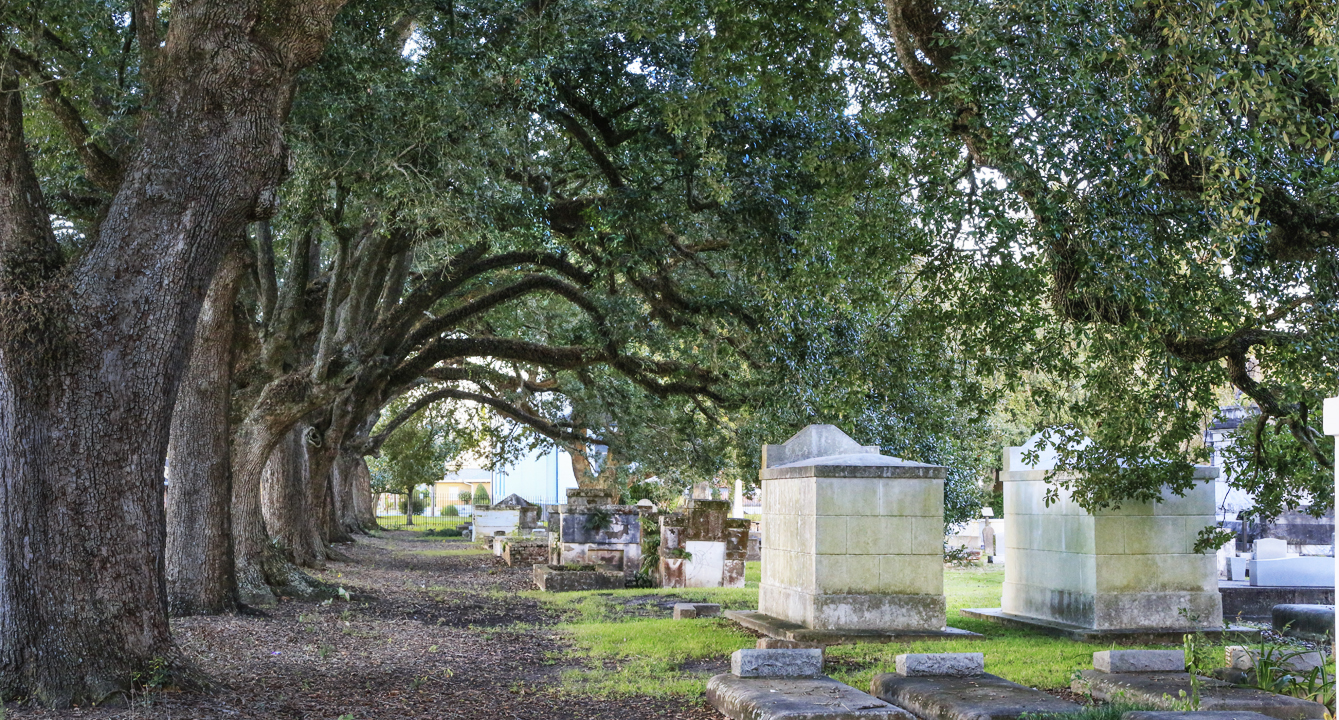 st-john-episcopal-oaks-pano