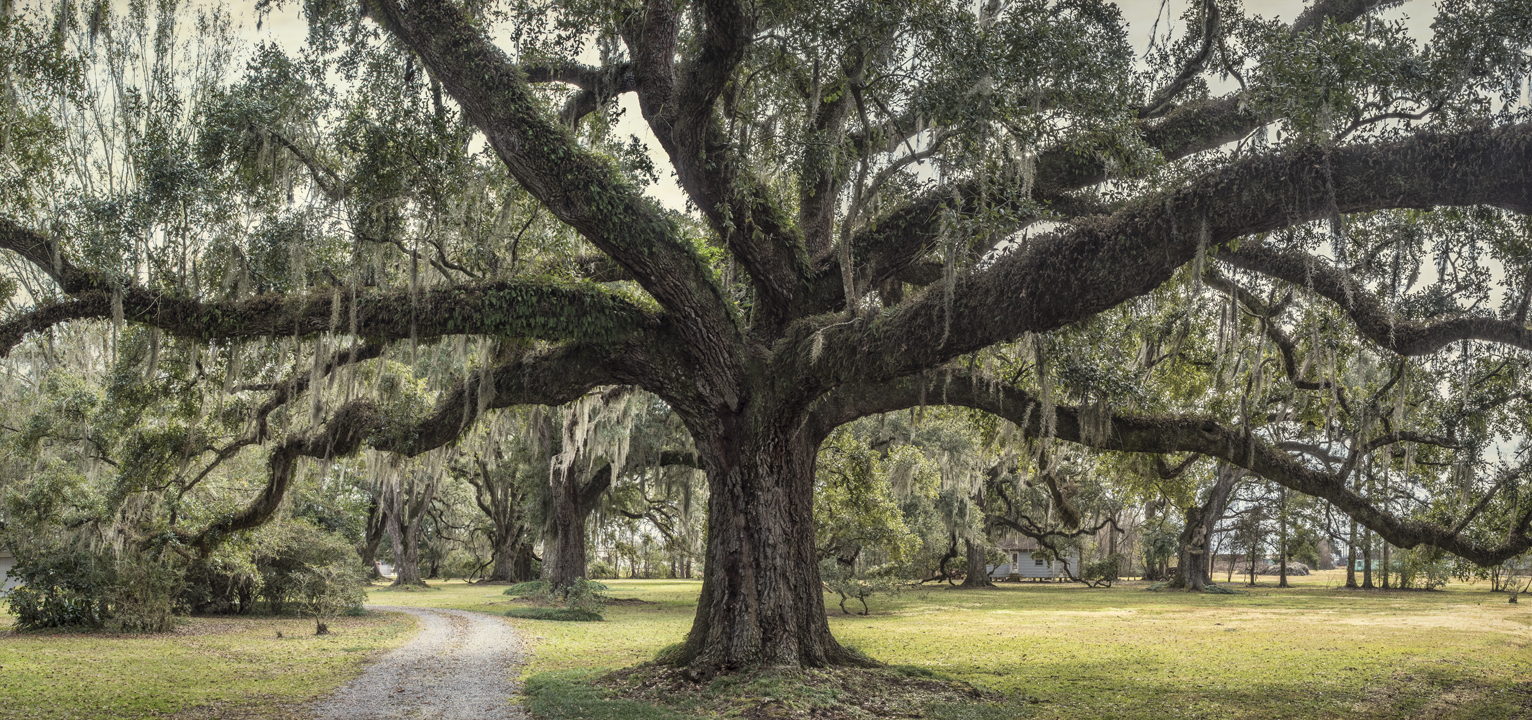 leighton-oaks-pano-5