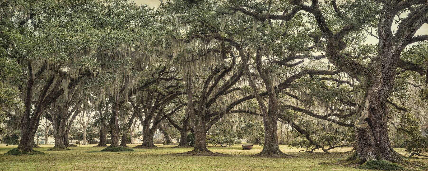 leighton-oaks-pano-study-2_layers