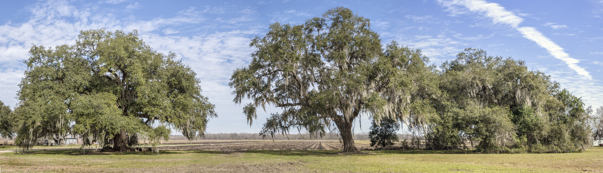 zephirin-oaks-pano-2