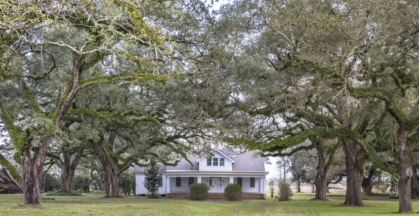 Blouin House Oaks – The Bayou Lafourche Historic Live Oak Tour