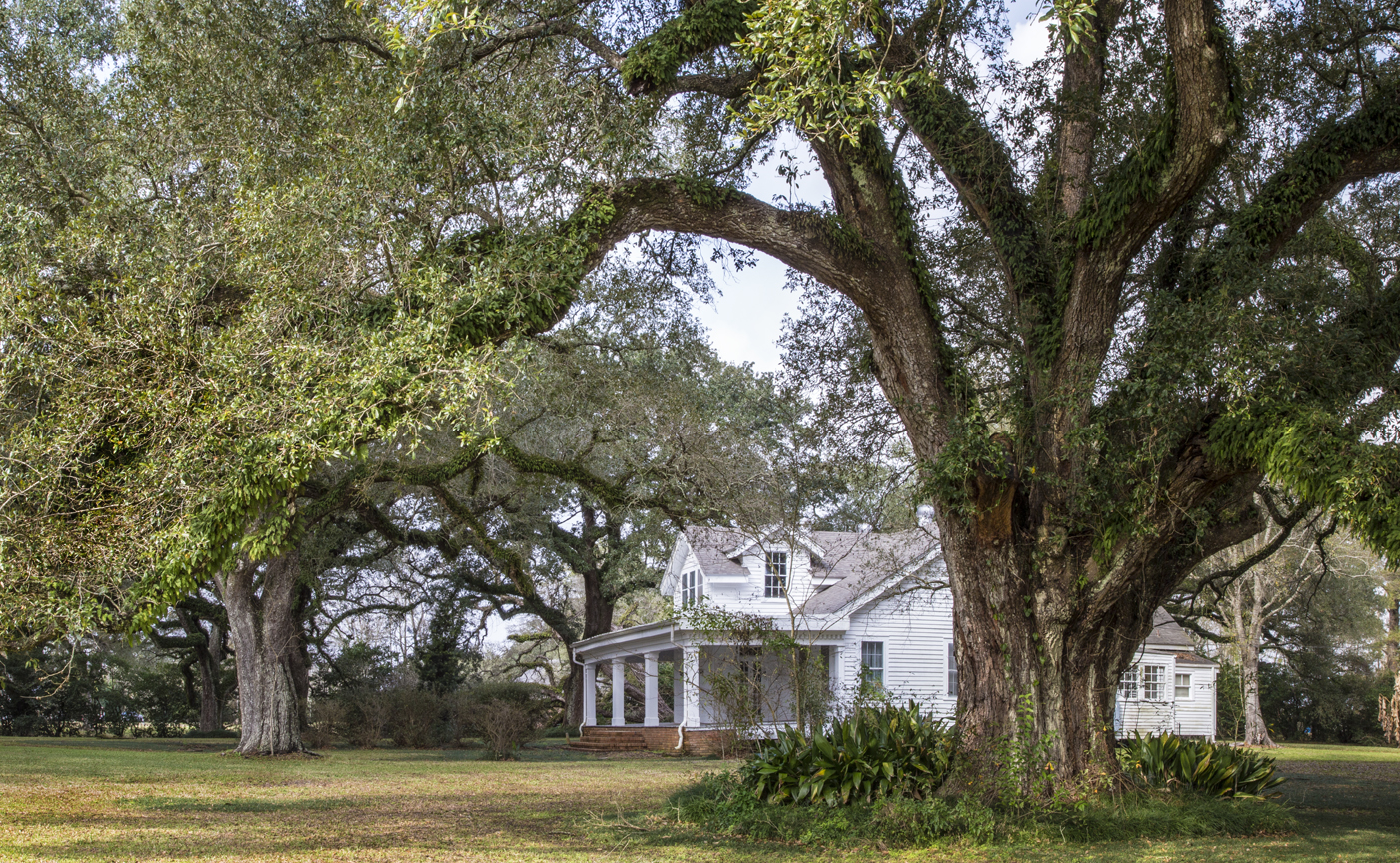 Blouin Plantation #1